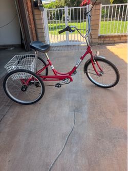 Sun Traditional  Tricycle