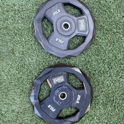 25lb Bench Weight Plate Pair F45