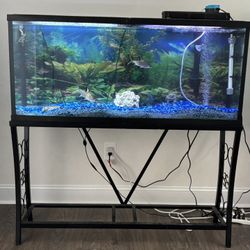Aquarium And Stand