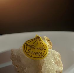 Walla Walla Sweets Baseball Team Pin Lapel Plastic Collectible Vintage