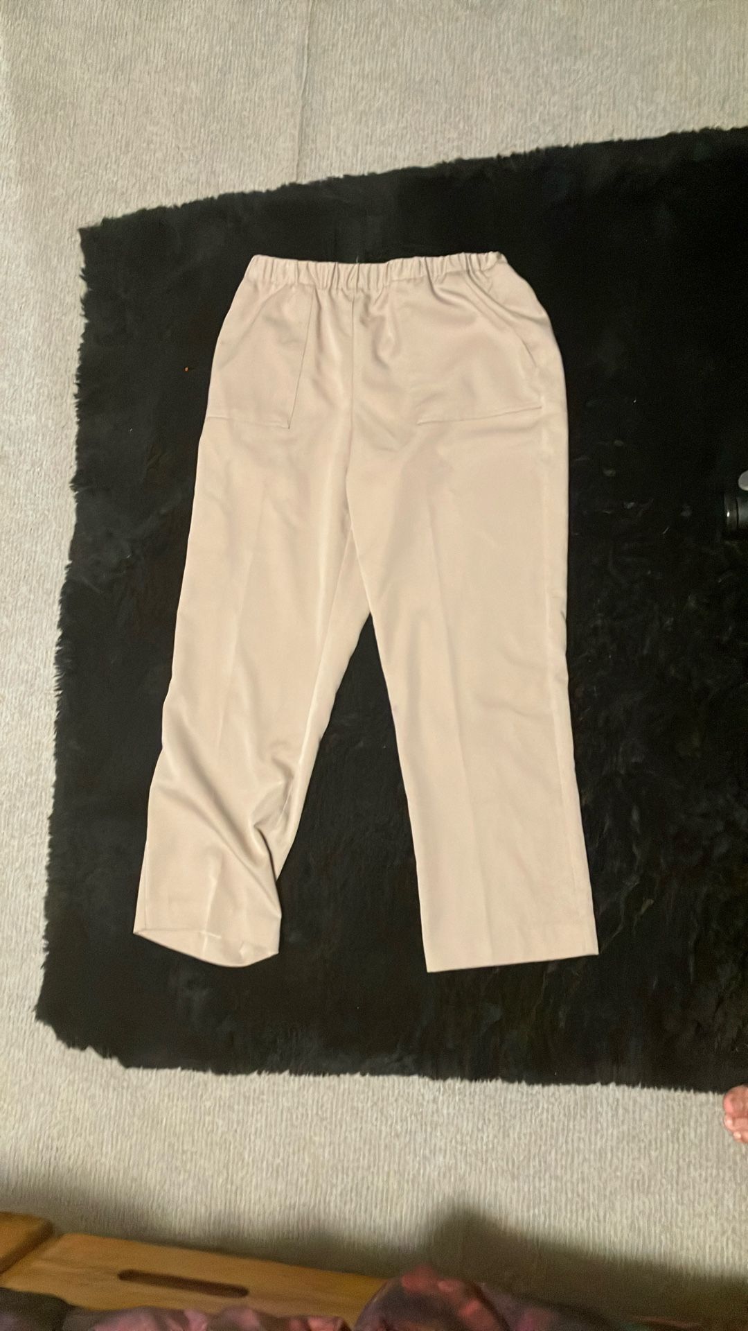 Alfred Dunner Beige Pants
