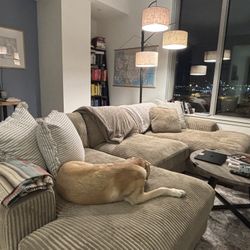 Double Loveseat Sectional Couch