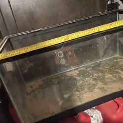 Reptile Tank