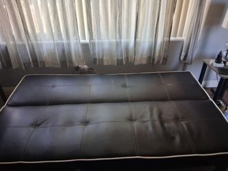 Futon couch