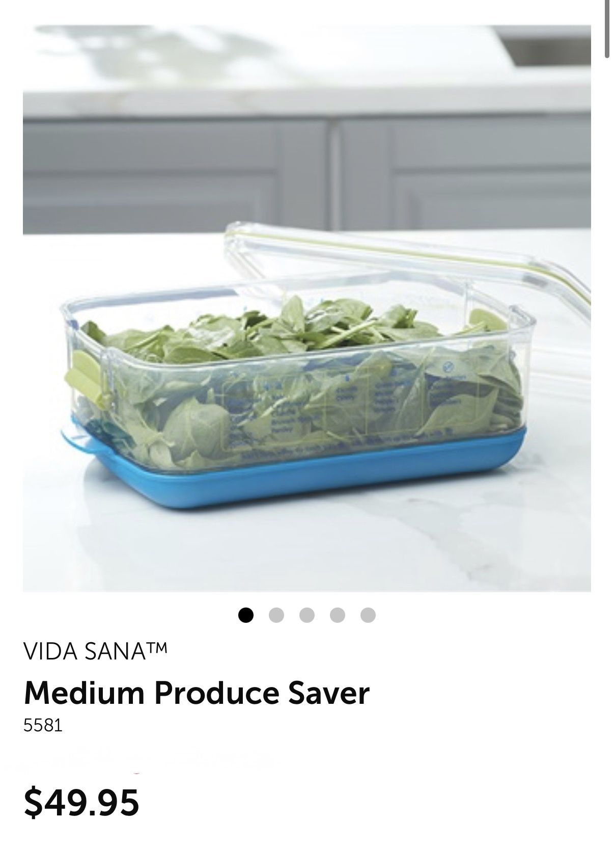 Princess House Medium Produce Saver