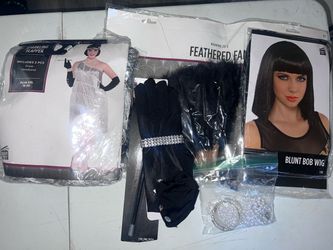 Ladies Flapper Costume #1