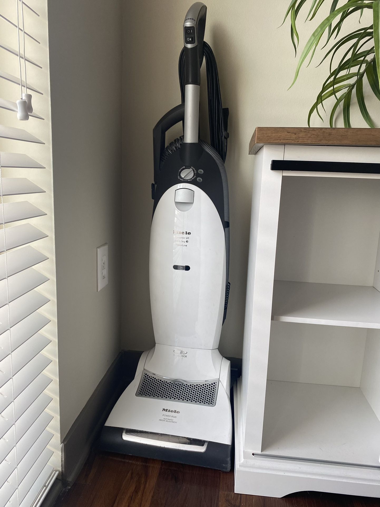 Miele Dynamic U1 Cat & Dog Vacuum - High-End Cleaning - $125