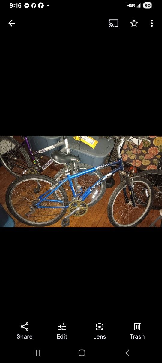 Diamond Back Mountain Bike