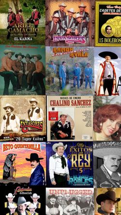 USB VARIADO DE TODO 8000 CANCIONES MIXES EXTENDIDOS BANDA CORRIDOS NORTENAS HIP HOP POLKAS HUAPANGOS OLDIES ZAPATIADO TAMBORAZO QUEBRADITAS FUNK SIRRE