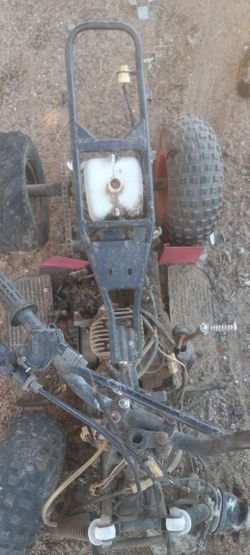 Quad