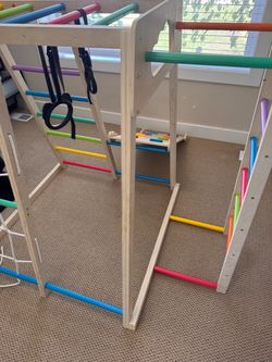 Toddler Indoor Jungle Gym