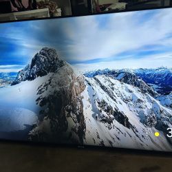 65”SAMSUNG PLASMA Please read the description below