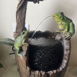 Frog Fountain, Indoor 