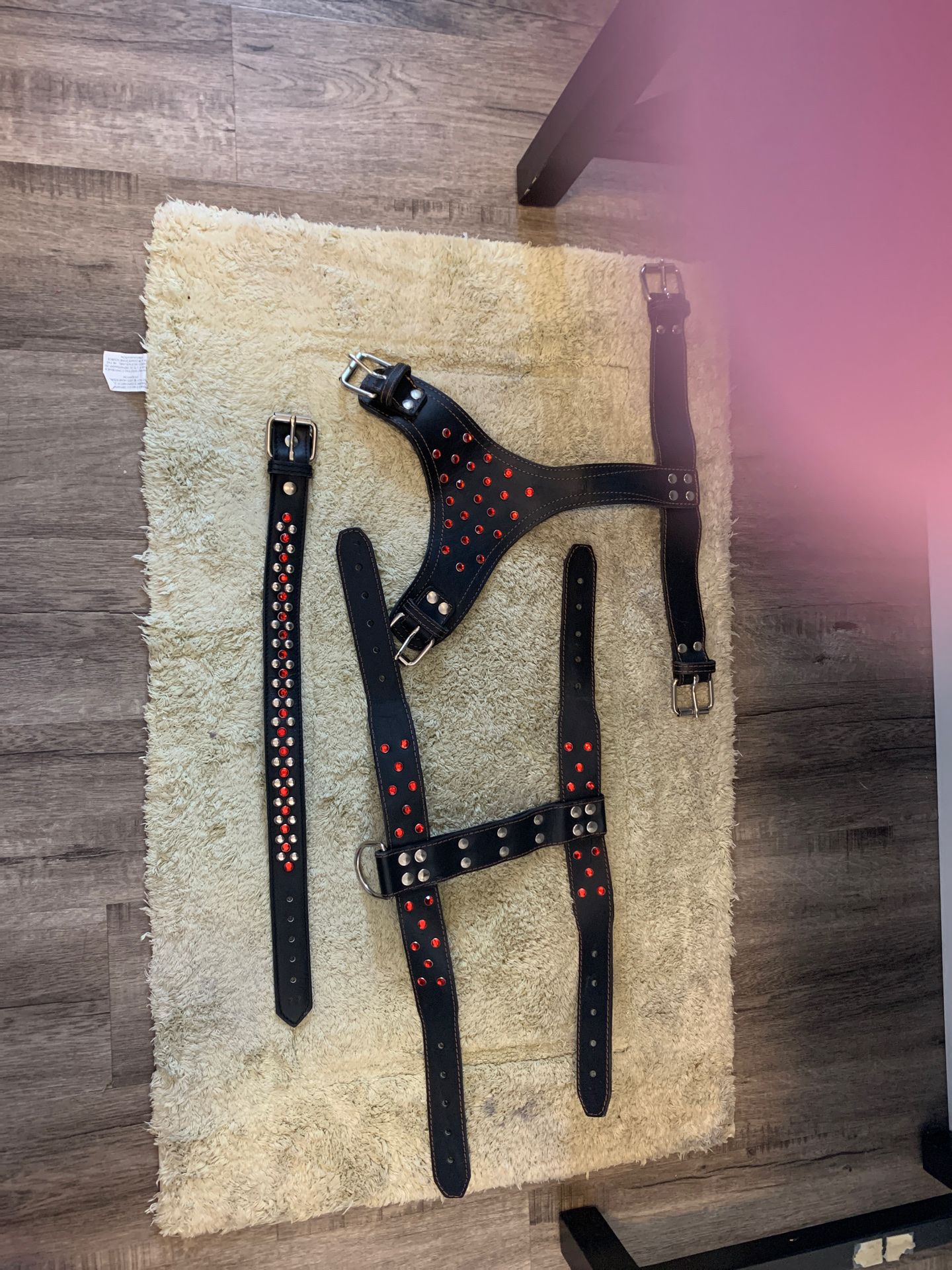 Custom made Ruby and Silver Stud Dog Harness And Large Dog Collar