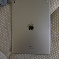 Apple iPad