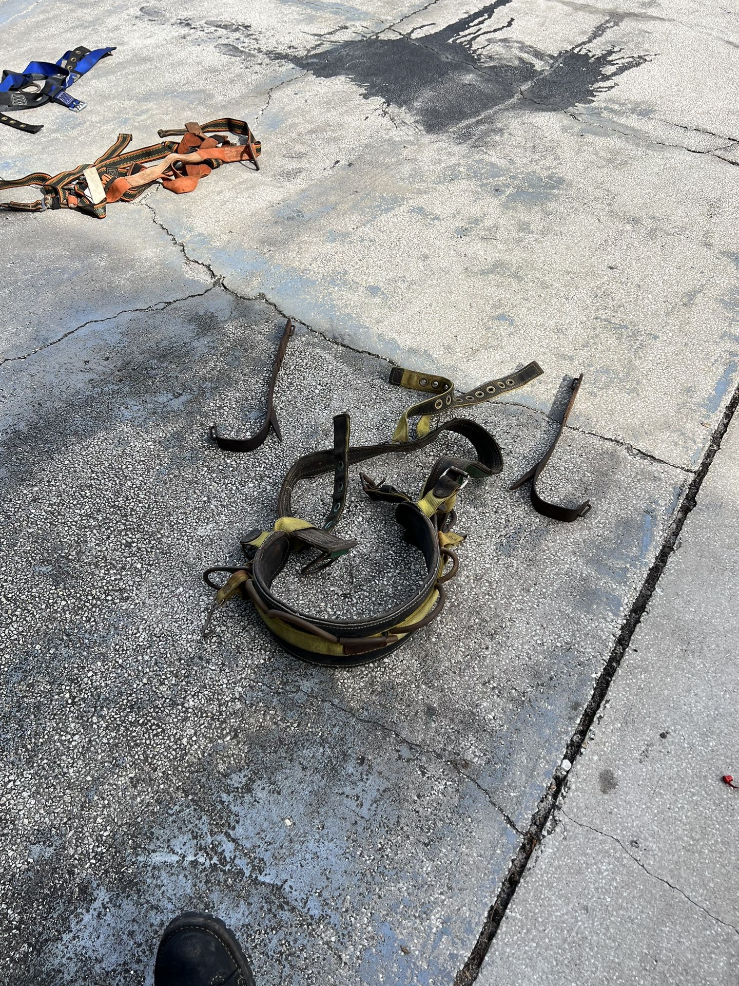 Tree Climbing Belt