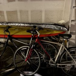 Trek Bike 