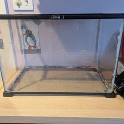 Glass Reptile Terrarium Tank