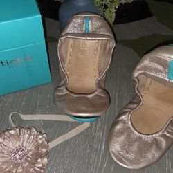 Ticks By Gavrieli ballet flats