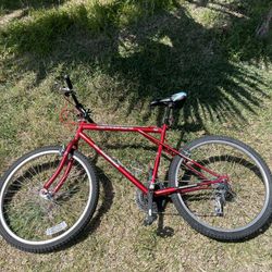 Adult Trail Bike/ Road Bike