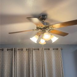 Ceiling Fan Light