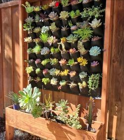 Custom privacy wall patio garden bed flower herb planter box wooden cedar redwood container vegetable urban