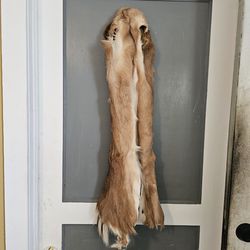 Tan white tail Deer tubular hide-skin 33" x 24" appx