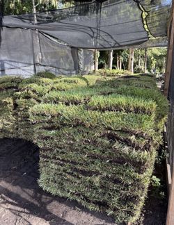 Pallets Of Fresh Sod Ready For Delivery