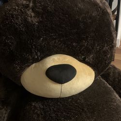 Giant Teddy 