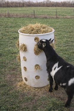 Heavy Duty Barrel Hay Feeder – Farm / Livestock Use