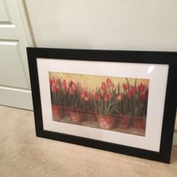 Big Pictures .Long 41 Inches , Width 29 Inches 