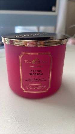 White Barn cactus blossom candle