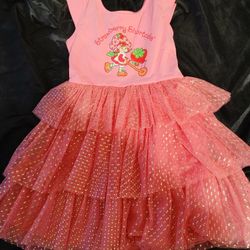 Strawberry Shortcake Toddler Dress - New