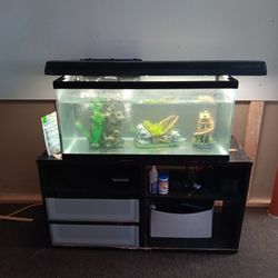 Fish Tank