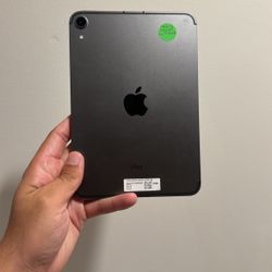 Ipad Mini 6 256Gb WiFi+ Cellular 