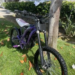 Surron 2024 Light Bee X 