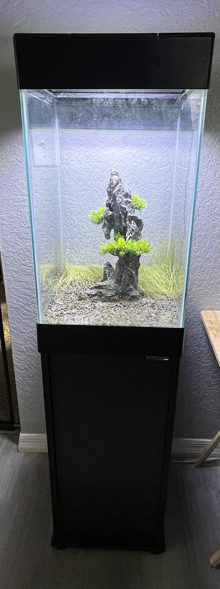 Fish Tank