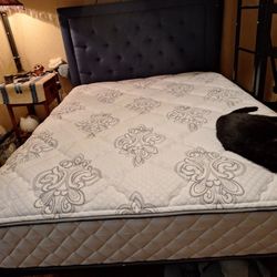 Full Size Mattress And Headboard 