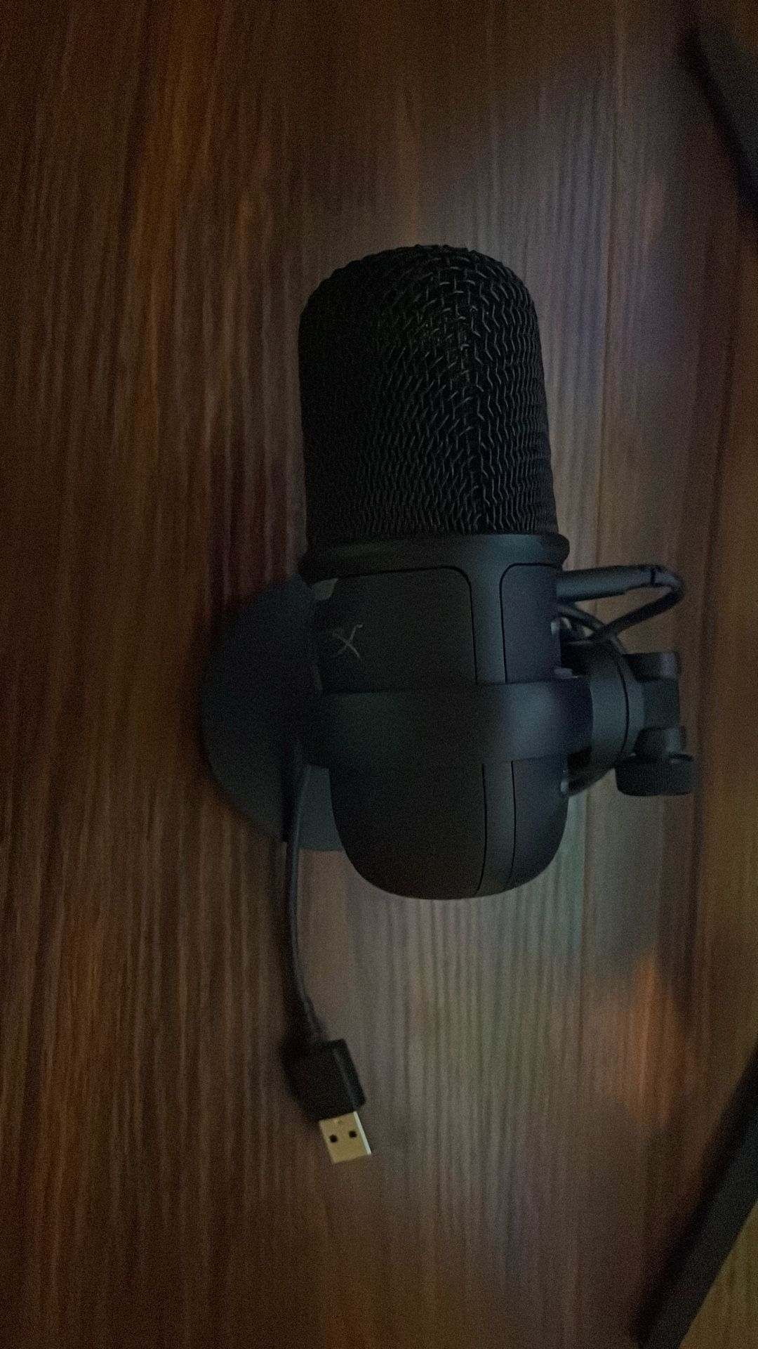 Adjustable Mic