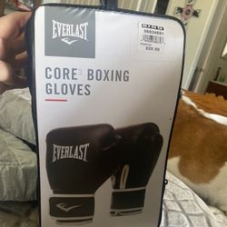 Boxing Gloves New In Case