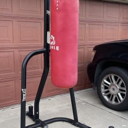 Everlast Punching Bag And Stand 