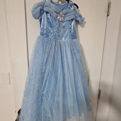 Cinderella Halloween Costume