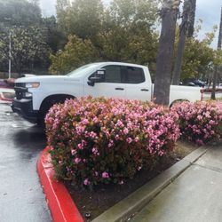 2019-2024 Chevy Suspension 