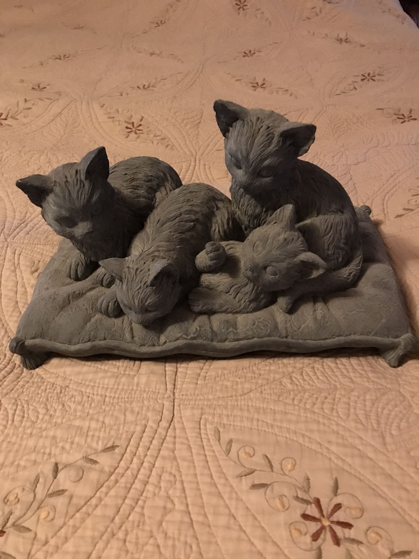 Cats & kittens