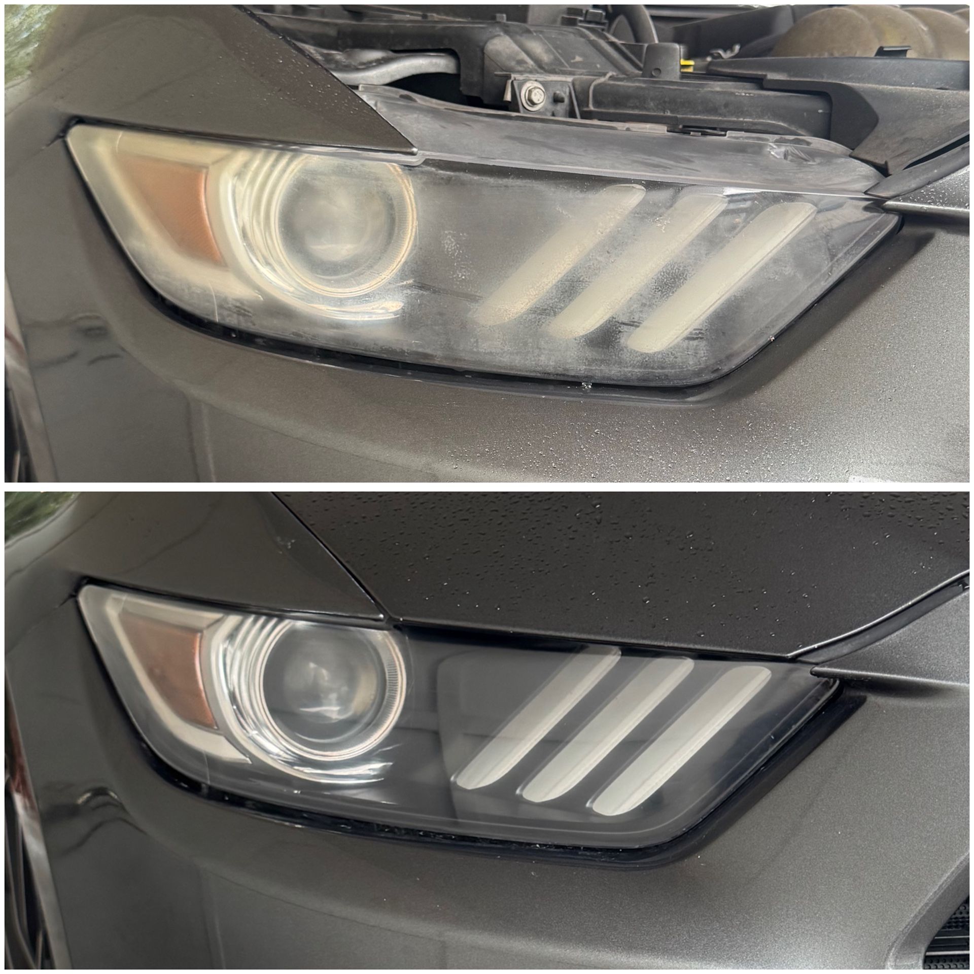 Restored Headlights
