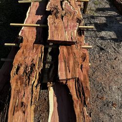 Eastern Red Cedar Slabs