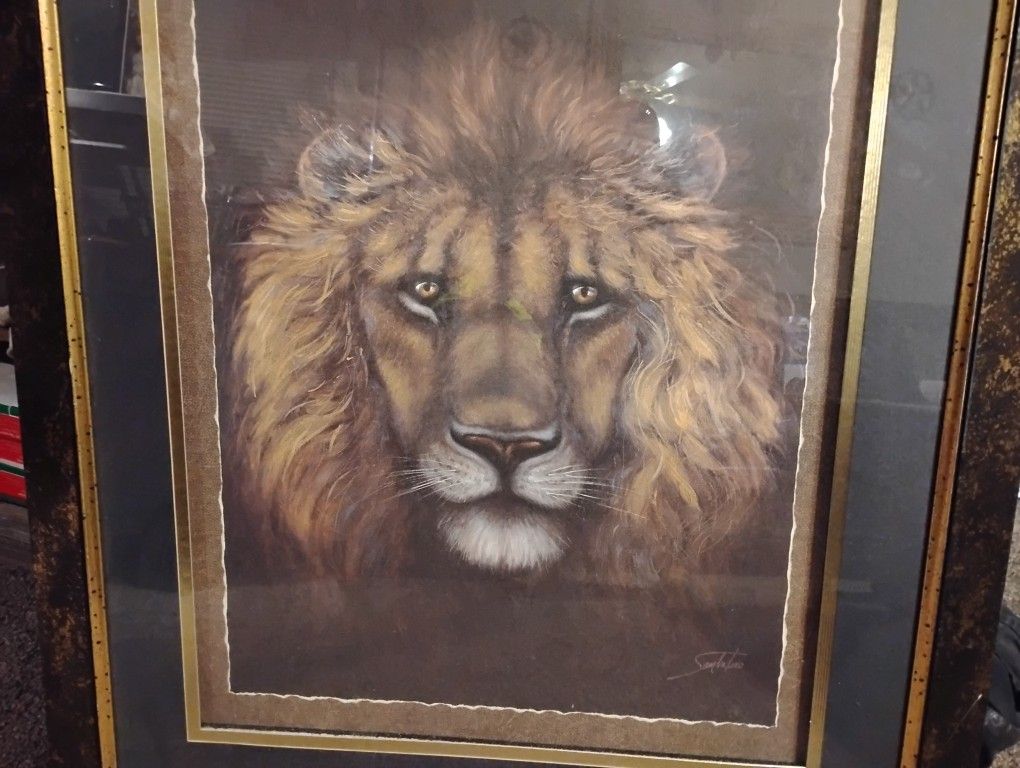 Large Lion Picture