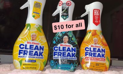 Mr clean multipurpose