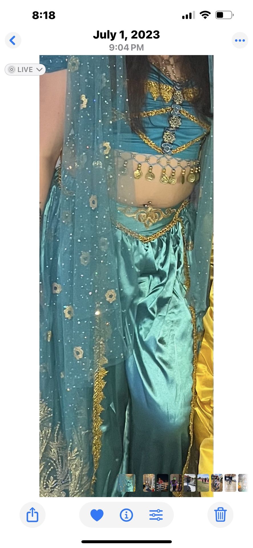 Princess Jasmine Costume