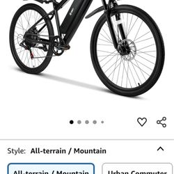 Electric Bike